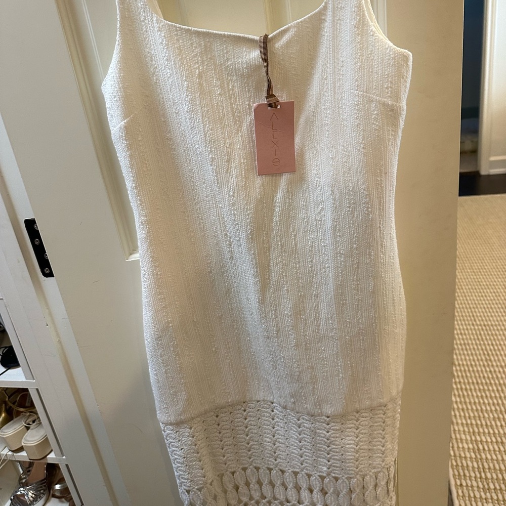 Alexis South Dress